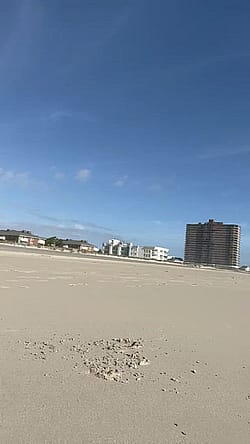 Sun Sand Orgasm [GIF]'