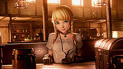 Linkle At The Tavern (Nagoonimation)'